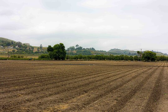 Farmland