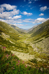 Winding swiss road through the alps