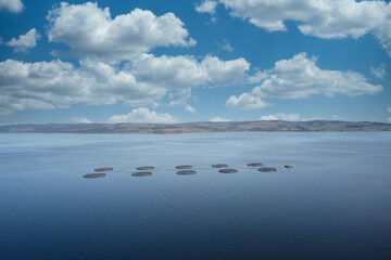 Fish farm salmon round nets in natural environment Loch Fyne Arygll and Bute Scotland