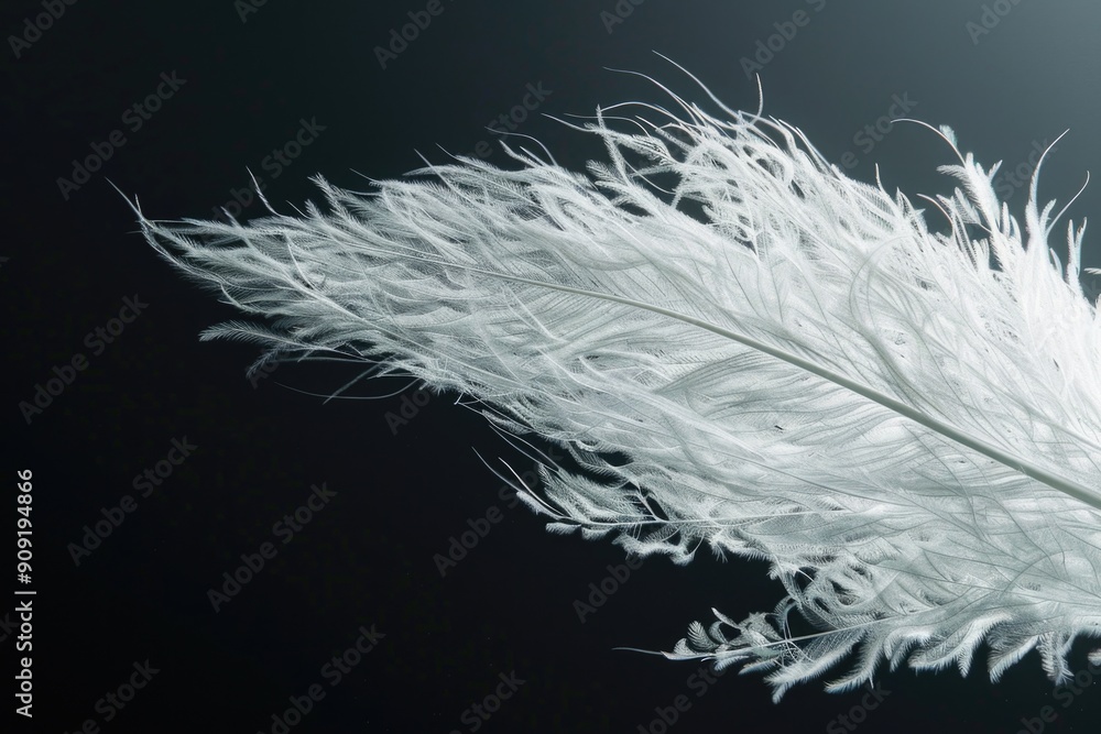 Poster a close-up shot of a single white feather against a dark background, great for designs and compositi
