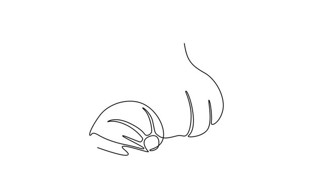 Self drawing animation of single line draw of whole healthy organic garlic for plantation logo identity. Fresh cuisine seasoning concept for vegetable icon. Continuous line draw. Full length animated