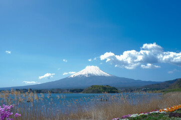 Mount Fuji