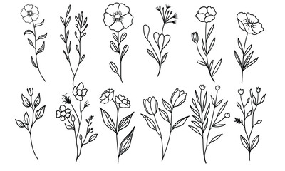 Hand-Drawn Wildflower Line Art Collection. Black and White Botanical vector Illustration
