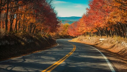 Fototapeta premium Autumn Tunnel Drive with Vibrant Leaves and Clear Sky