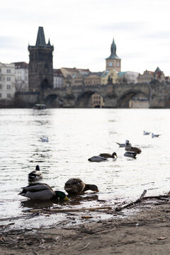 Charles Bridge in Prague, Czech Republic, in Winter