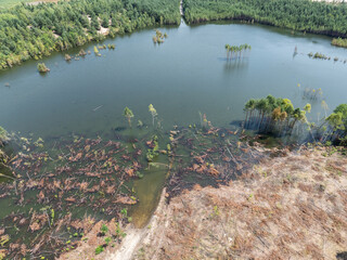 Aerial drone view of flooded sand pit. Forest submerged in a lake. Sunken sandpit with clear water.Lake District, swallow hole flooded as a result of the mining damage Pomorzany mine in Olkusz,Poland