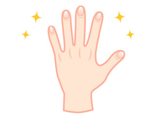 清潔で綺麗な手と爪のイラスト素材