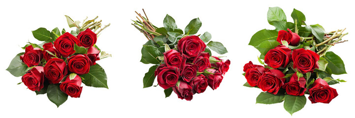 Set of A romantic gift of fresh red roses in full bloom, arranged in a bouquet  isolated on transparent background