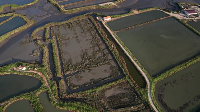 High angle shot capturing the vastness of an aquaculture farm, showcasing the systematic ponds and waterways used for sustainable fish farming.