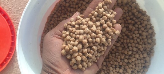 Pelleted Fish Feed (8.0mm)