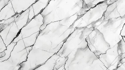 Elegant white marble surface with natural veining characteristics