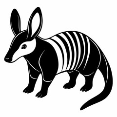 zebra vector illustration