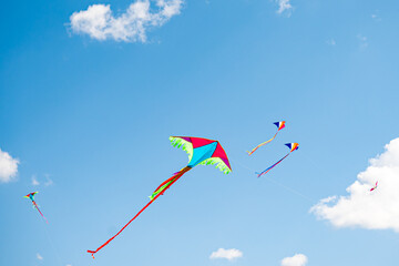 Colorful big kites, all colors of the rainbow, flying in the blue sky, tethered to a line, a whole lot of space