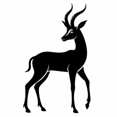 Fototapeta premium silhouette of a deer antelope 