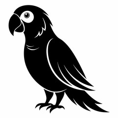 Beautiful parrot bird vector illustration 