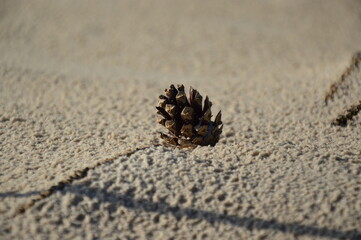 cone in sand