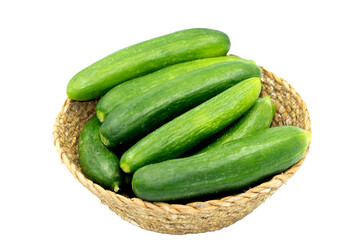 Fresh harvested cucumber to use as culinary vegetable in a basket
