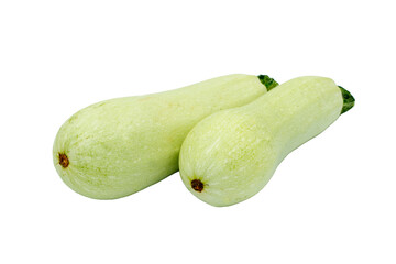 Two fresh light green zucchini or summer squash
