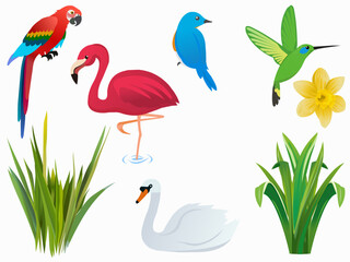 Obraz premium Different kinds of bird cartoon illustration set. Tomtit, robin, starling, woodpecker and sparrow sitting on tree branch isolated on white background. Winter birds concept