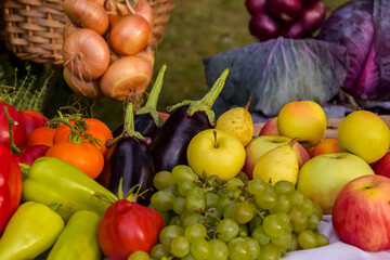 Autumn harvest fruits and vegetables