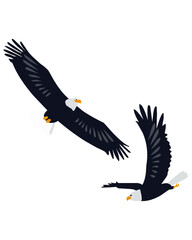 eagle in flight.Flying eagle illustration in hand drawn style.