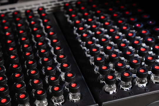 Samples in glass vials with black caps are awaiting analysis in the autosampler of the HPLC system
