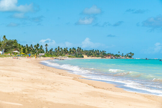 beautiful large white sandy beach in Maragogi, view to jungle at the clean empty beach