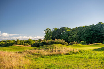 castle ruins, castlemartyr, ireland