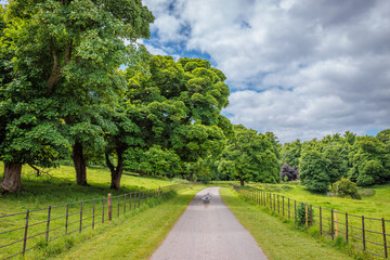 Muckross, Ireland - June 8 2024 