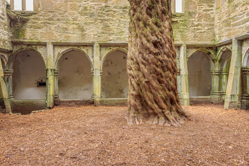 Muckross, Ireland - June 8 2024 