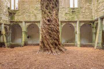 Muckross, Ireland - June 8 2024 