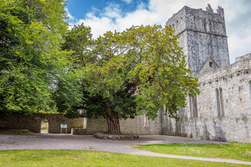 Muckross, Ireland - June 8 2024 