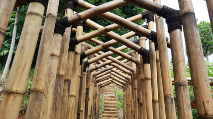 A tunnel made of bamboo poles, creating a unique pathway with a staircase leading upward. Natural Bamboo Tunnel Pathway Background.