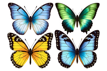 Obraz premium set of beautiful blue green yellow butterflys isolated on white or transparent png butterflies insect wing collection many butterfly summer animal silhouette art tropical