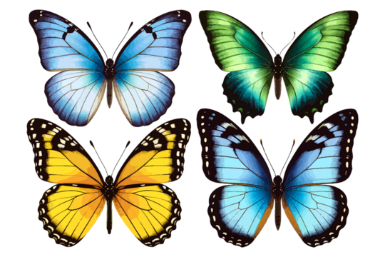 set of beautiful blue green yellow butterflys isolated on white or transparent png butterflies insect wing collection many butterfly summer animal silhouette art tropical - Powered by Adobe