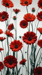 Fototapeta premium red flowers on plain white background abstract ad concept copy space