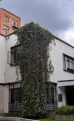 casa, edificio, arquitectura, cristaleras, viejo, casa, ciudad, calle, cristaleras, exterior, fachada, muro, guadalajara