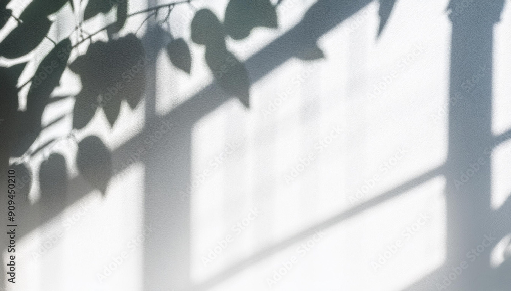 Poster leaves and window pane shadow overlay effect on white background; natural light; abstract image conc