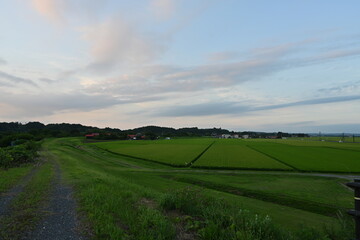 田舎の景色
