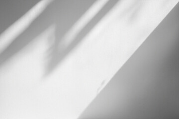 Artistry Shadow Overlays