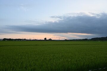 田舎の景色