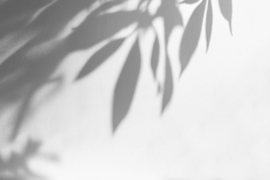 Eclipse Shadow Overlays