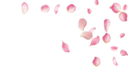 Rose petals or sakura flying petals, romantic background with realistic pink cherry flower petals flow or falling motion. Love, romance, floral spring season,cherry blossom © Sompong