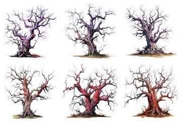 Fototapeta premium Six Twisted and Aged Trees with Glittering Details