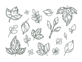 Vector many hand drawn contour leaves icons. Editable outline. Pencil paint plant element. Cartoon nature sketch. Line art for organic cosmetic packaging design, kids textile, fall event advertising