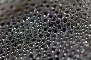 Water humidity drops bubbles macro on water colorful background liquid moments fifty megapixels big...