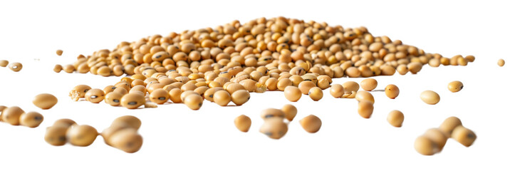 Detailed Soybeans Isolated on Transparent Background for Use in Organic Food and Cooking Content