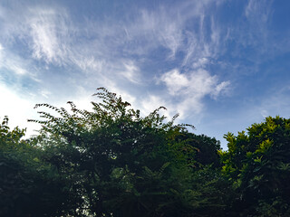 東京散歩　都心の空