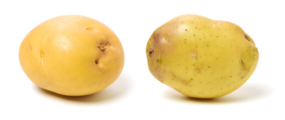 New potato isolated on white background 