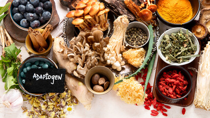 Healthy natural adaptogen. Herbs, spices, mushrooms on light background. Nervine food collection